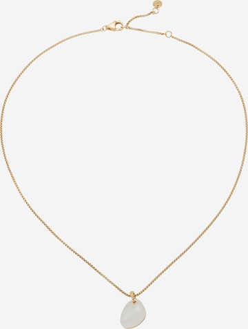 SKAGEN Necklace in Gold: front