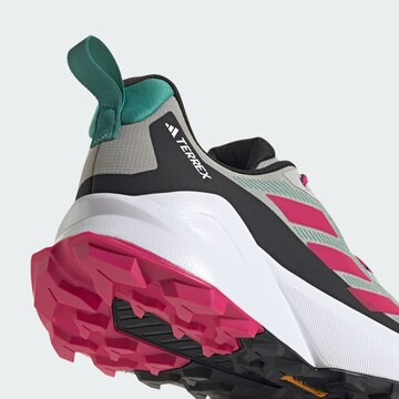 ADIDAS TERREX Lage schoen 'Trailmaker 2.0 ' in Grijs