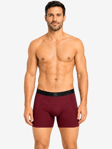SITZTGUT Boxer shorts 'SITZTGUT Herren-Boxershorts 3er-Pack' in Red: front