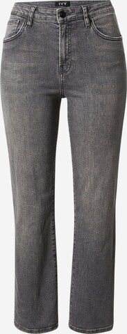 Ivy Copenhagen Regular Jeans in Grey: front