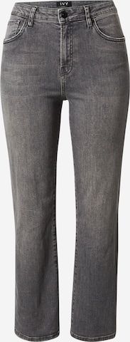 Ivy Copenhagen Jeans i grå: forside