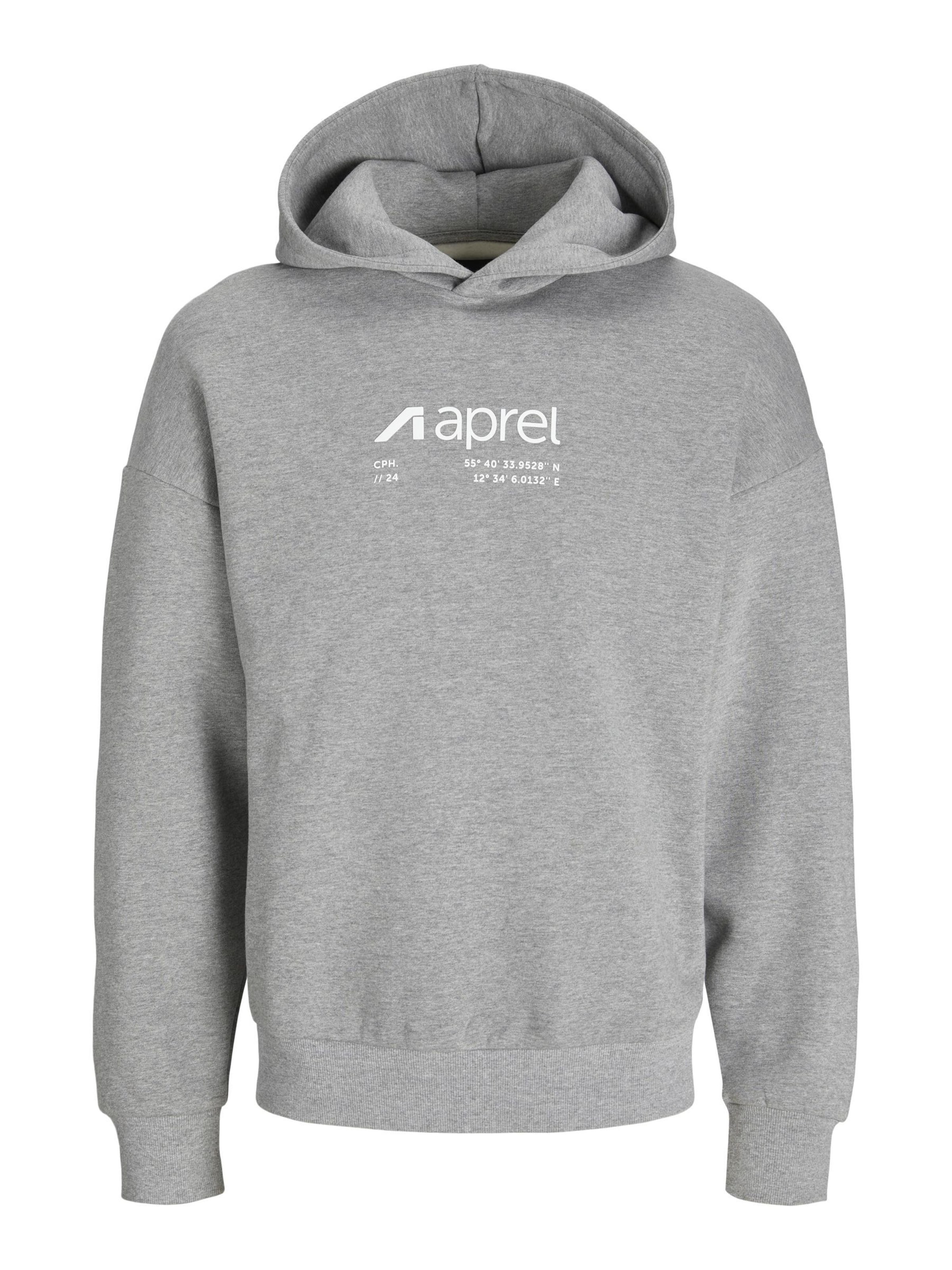aprel - Sudadera en gris: frente