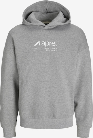 Sweat-shirt aprel en gris : devant
