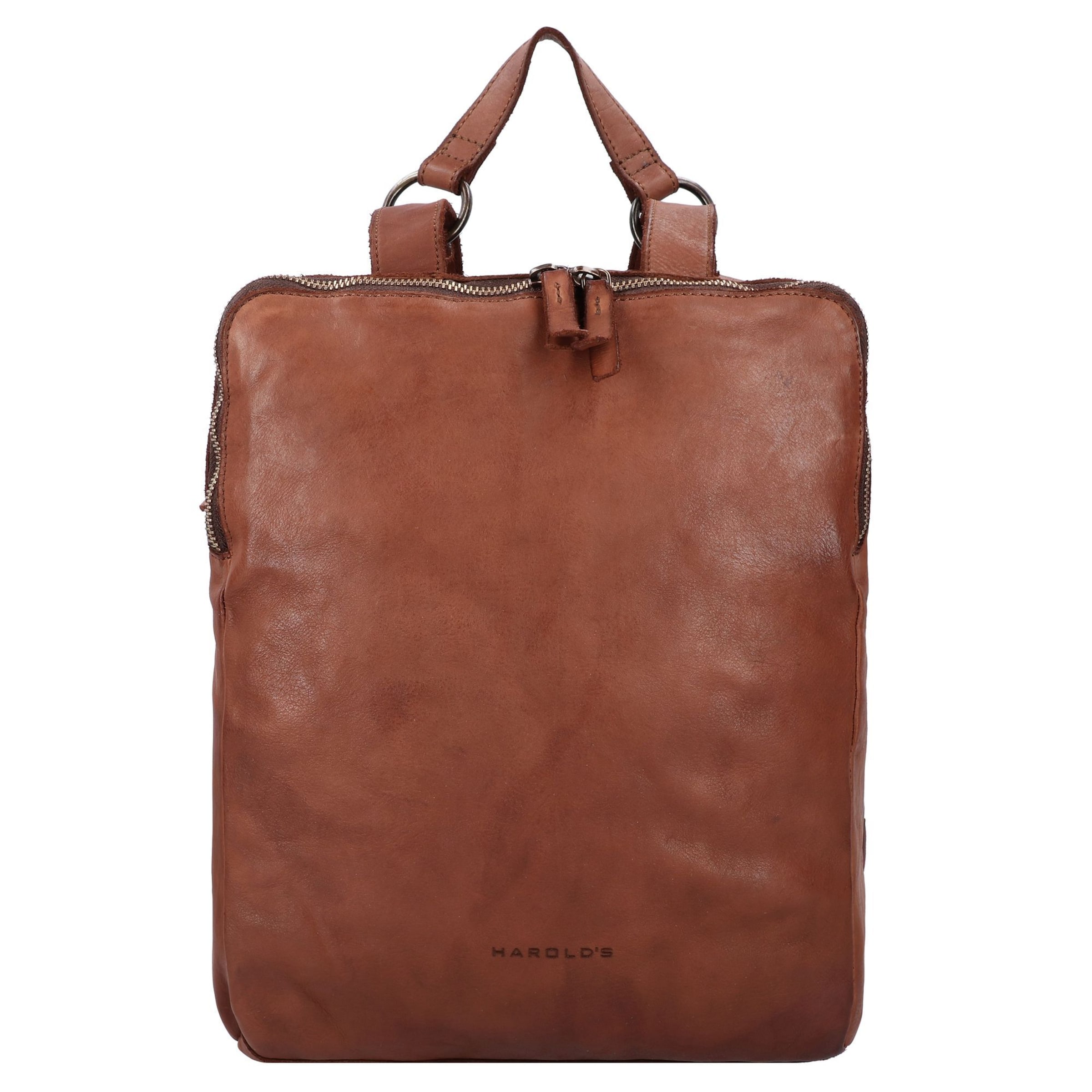 Harold's Backpack in Brown: front
