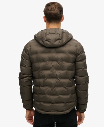 Veste mi-saison Superdry en marron