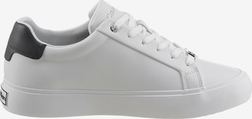 Calvin Klein - Zapatillas deportivas bajas en blanco