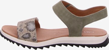 CAPRICE Strap Sandals in Beige: front