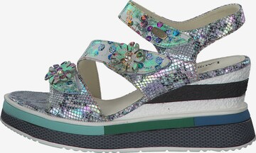 Laura Vita Strap Sandals 'Dacddyo 07' in Mixed colors