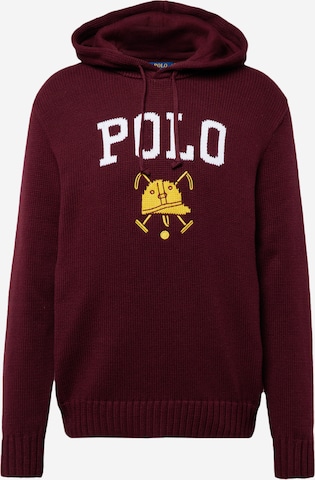 Polo Ralph Lauren Trui in Rood: voorkant