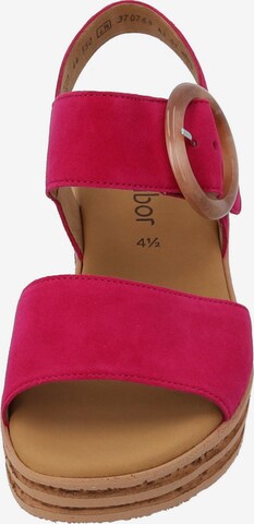 GABOR Strap Sandals in Pink