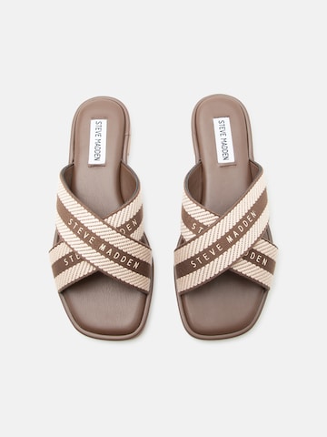 Mule 'Arrows' STEVE MADDEN en marron