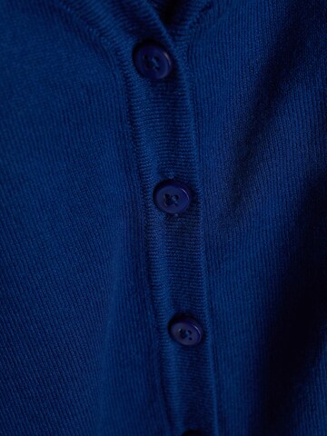 Next Strickjacke in Blau