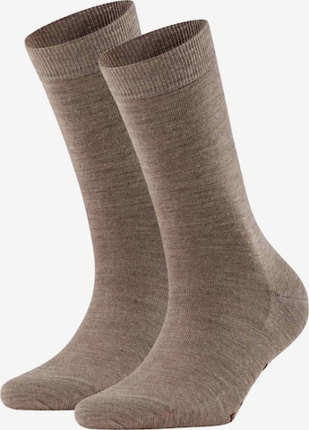 FALKE Socks in Brown: front