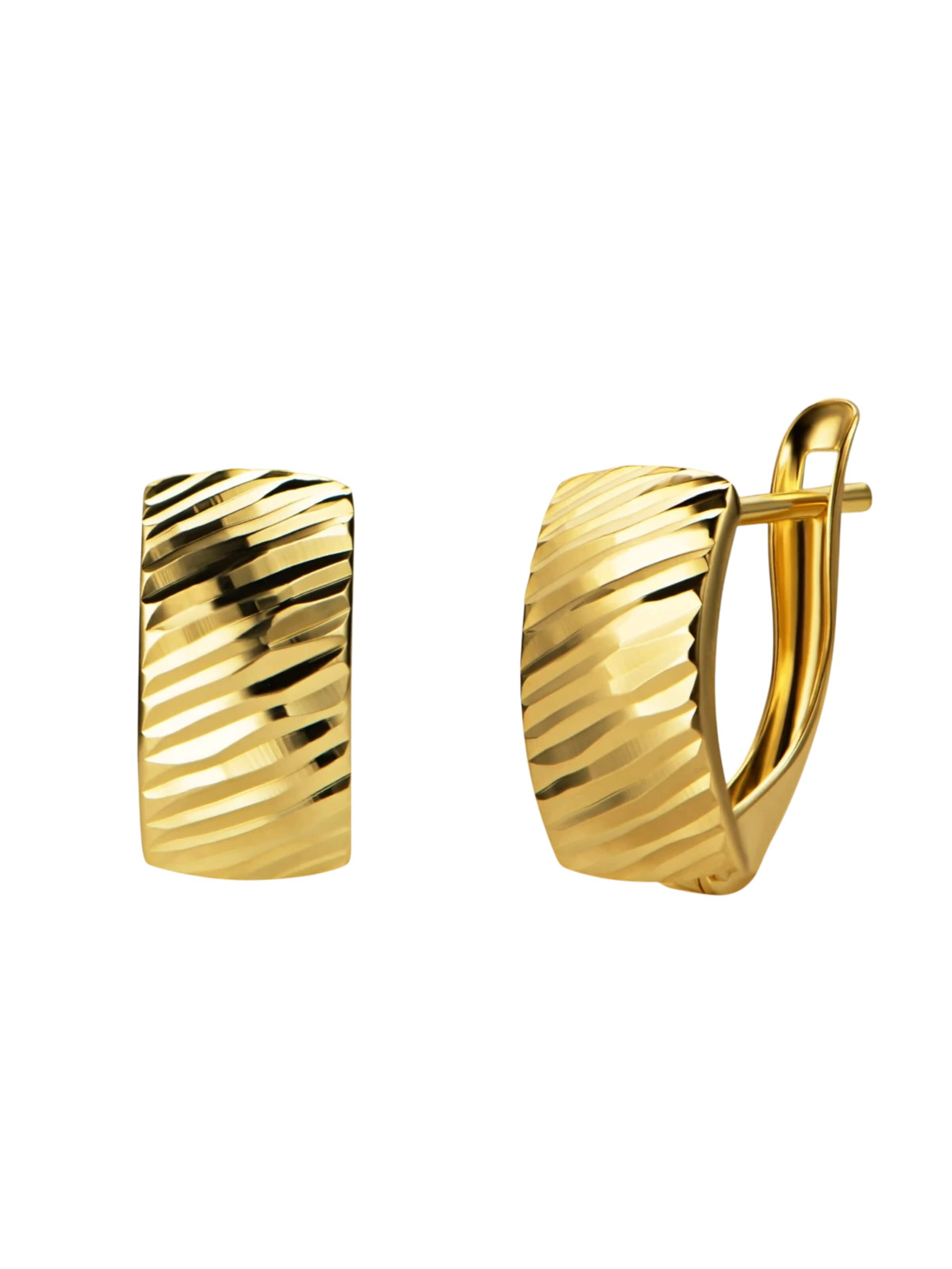 DIAMANT LETERNEL Earrings in Gold: front