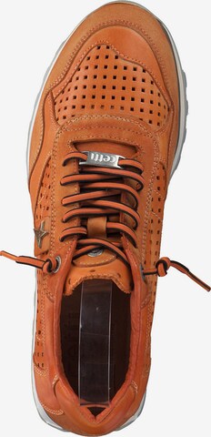 Cetti Sneakers low 'C848 M' in Orange