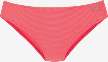 Bruno Banani Bikinihousut värissä oranssi: etupuoli