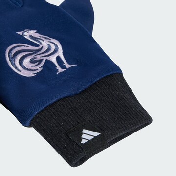 Gants de sport 'Frankreich Feldspieler' ADIDAS PERFORMANCE en bleu