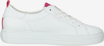 Paul Green Sneakers in White