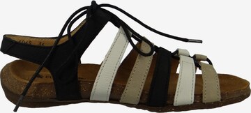 EL NATURALISTA Sandals in Black