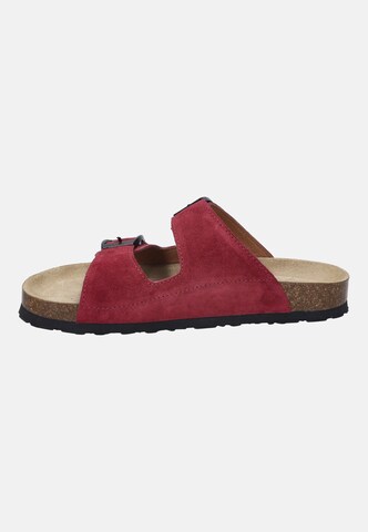JOSEF SEIBEL Mules 'Hermine 06' in Red