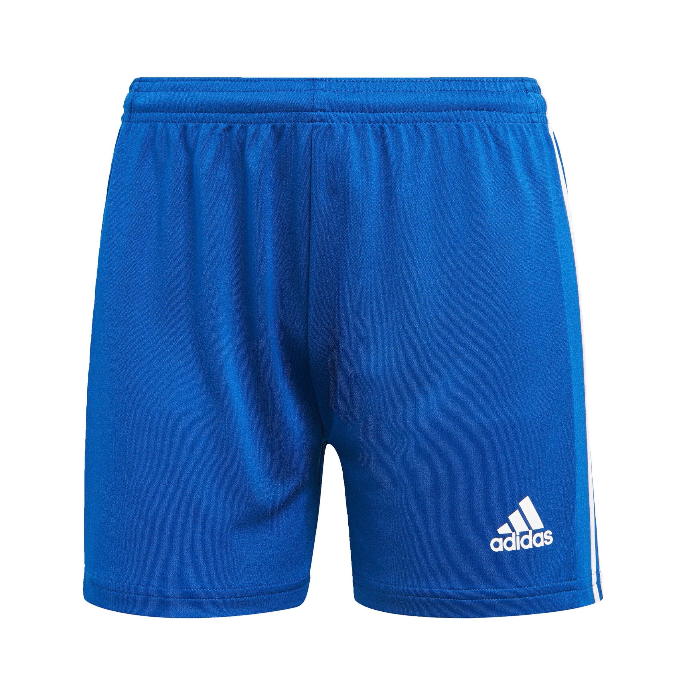 ADIDAS PERFORMANCE Regular Shorts 'Squadra 21' in Blau: Vorderseite