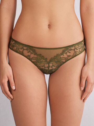 INTIMISSIMI Panty in Green: front