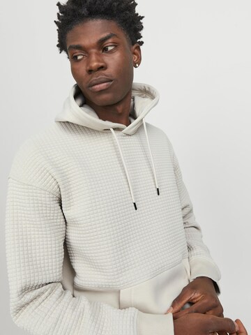 JACK & JONES Sweatshirt in Beige