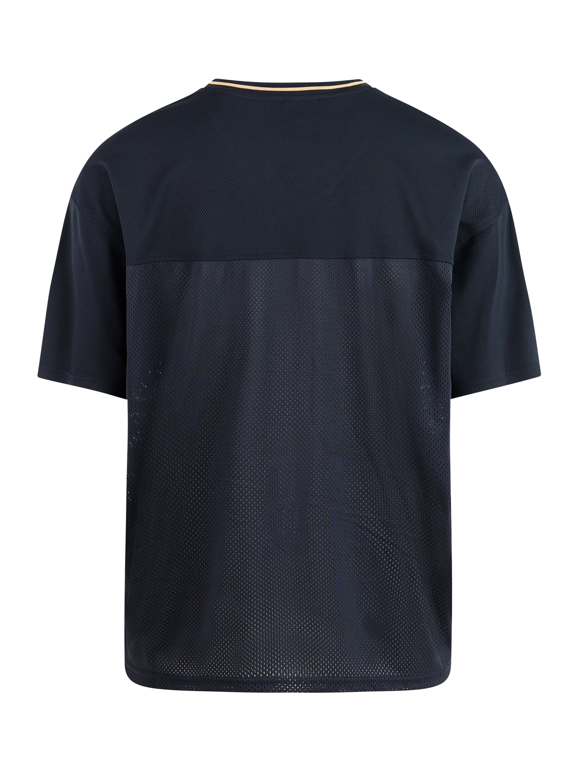 PROTEST Shirt 'PRTAinsley' in Blauw