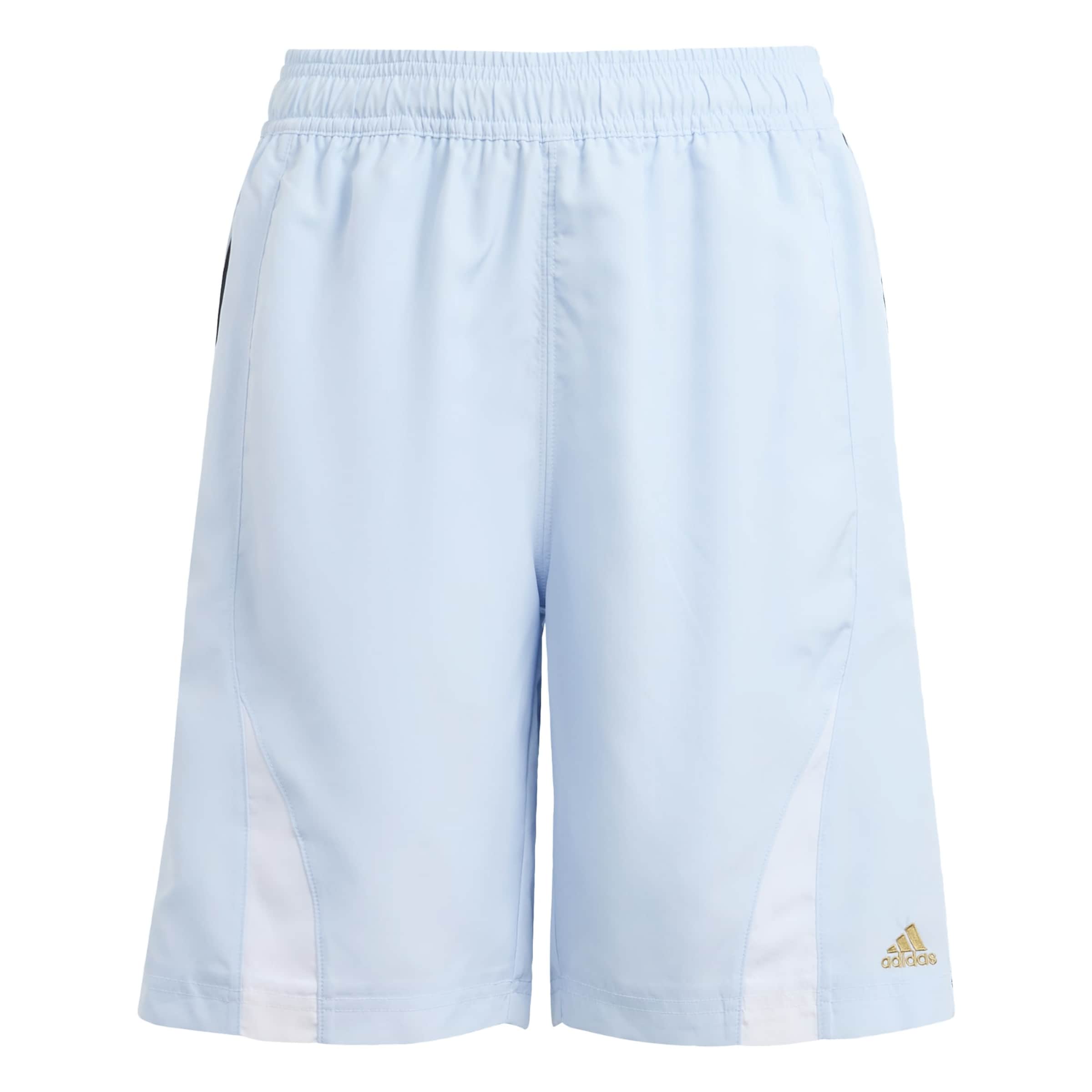 ADIDAS ORIGINALS Loosefit Broek 'Teamgeist' in Blauw: voorkant