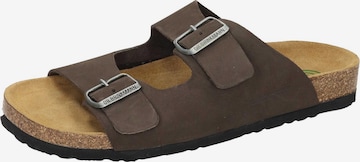 DR. BRINKMANN Pantolette 'Bonillo' in Braun: Vorderseite