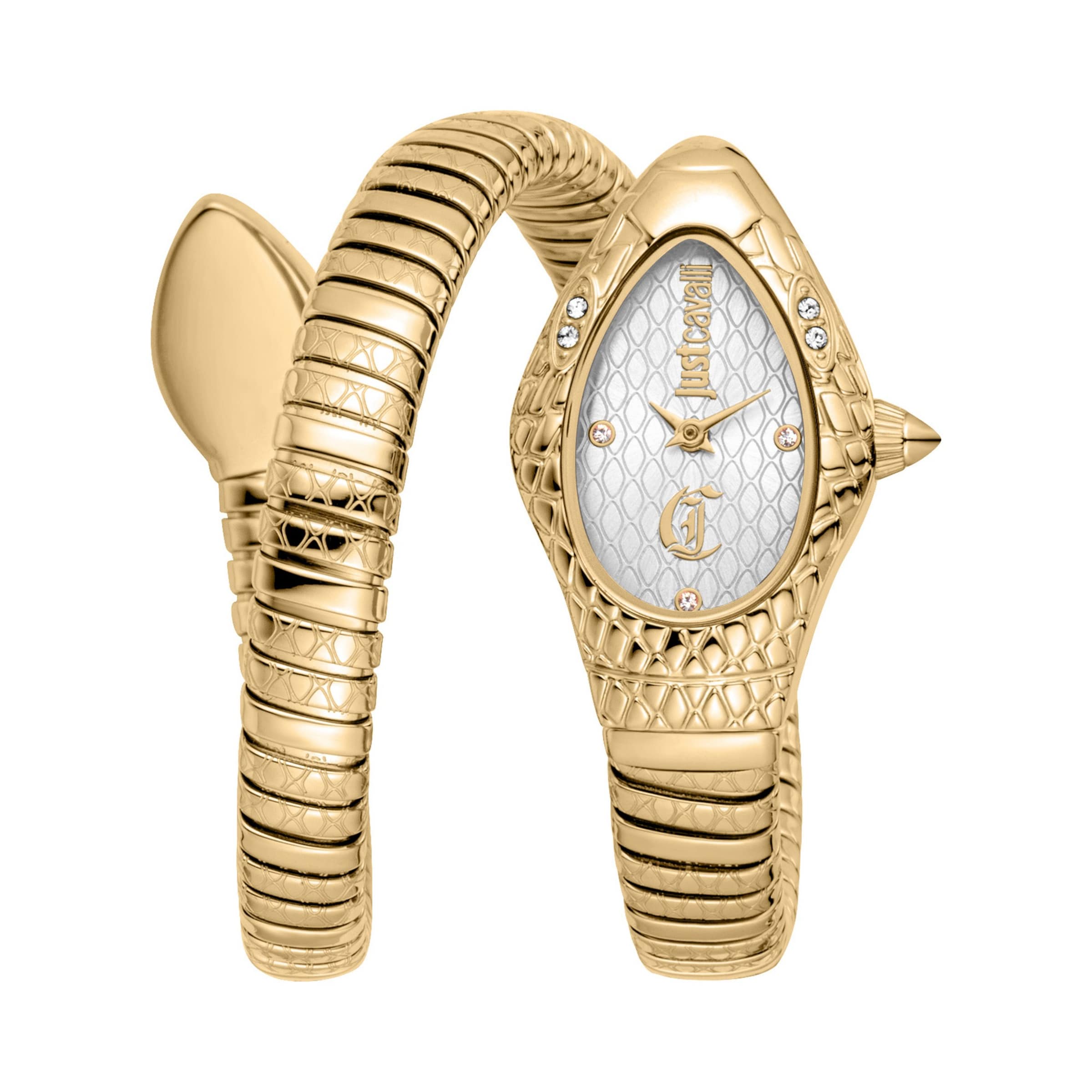 Just Cavalli Time Analog Watch in Gold: front