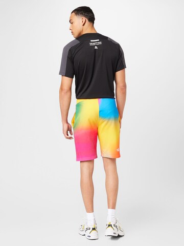 THE NORTH FACE Regular Pants in Mixed colors