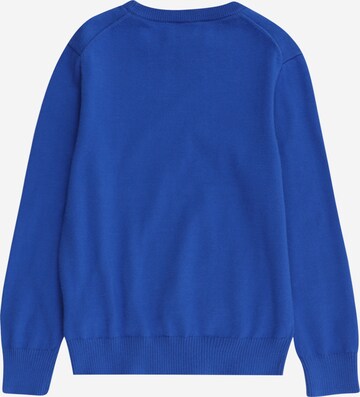 Polo Ralph Lauren Sweater in Blue