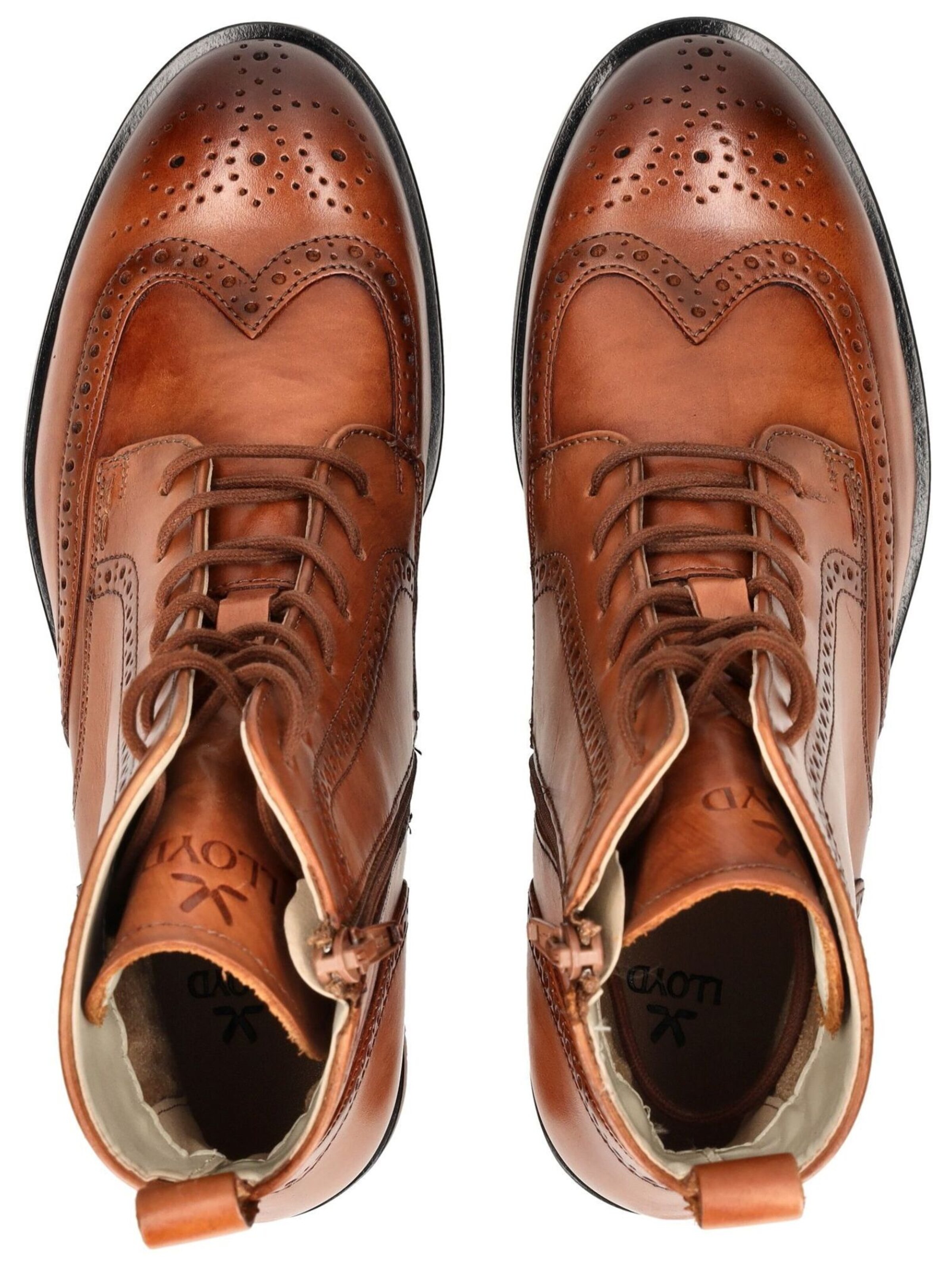 LLOYD SELECTED Veterlaarsjes in Bruin