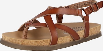 Blowfish Malibu Japonke 'Luster 2' | rjava barva: sprednja stran