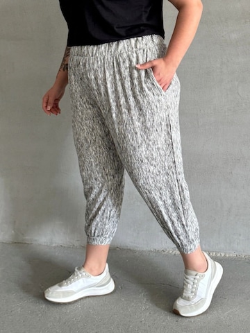 Stil Diva Regular Broek in Grijs