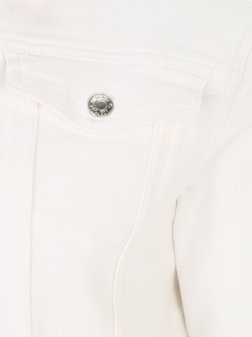 Denim Project Regular fit Between-season jacket 'Kash' in White