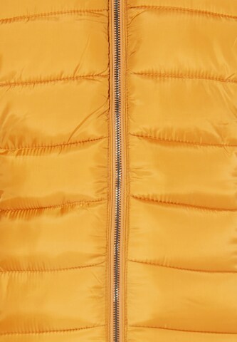 usha BLUE LABEL Winter jacket 'Fenia' in Yellow