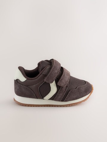 Next Sneakers in Bruin