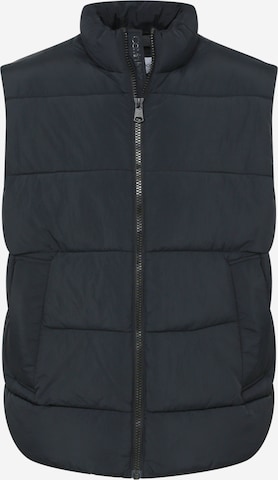 Gilet Calvin Klein Big & Tall en noir : devant