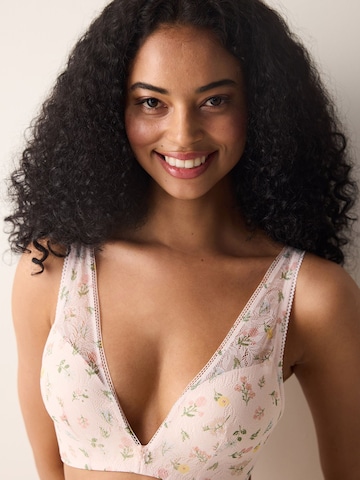Bustino Reggiseno 'BHs & Bralettes' di Penti in rosa
