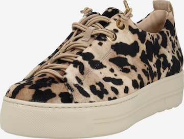 Baskets basses Paul Green en marron : devant