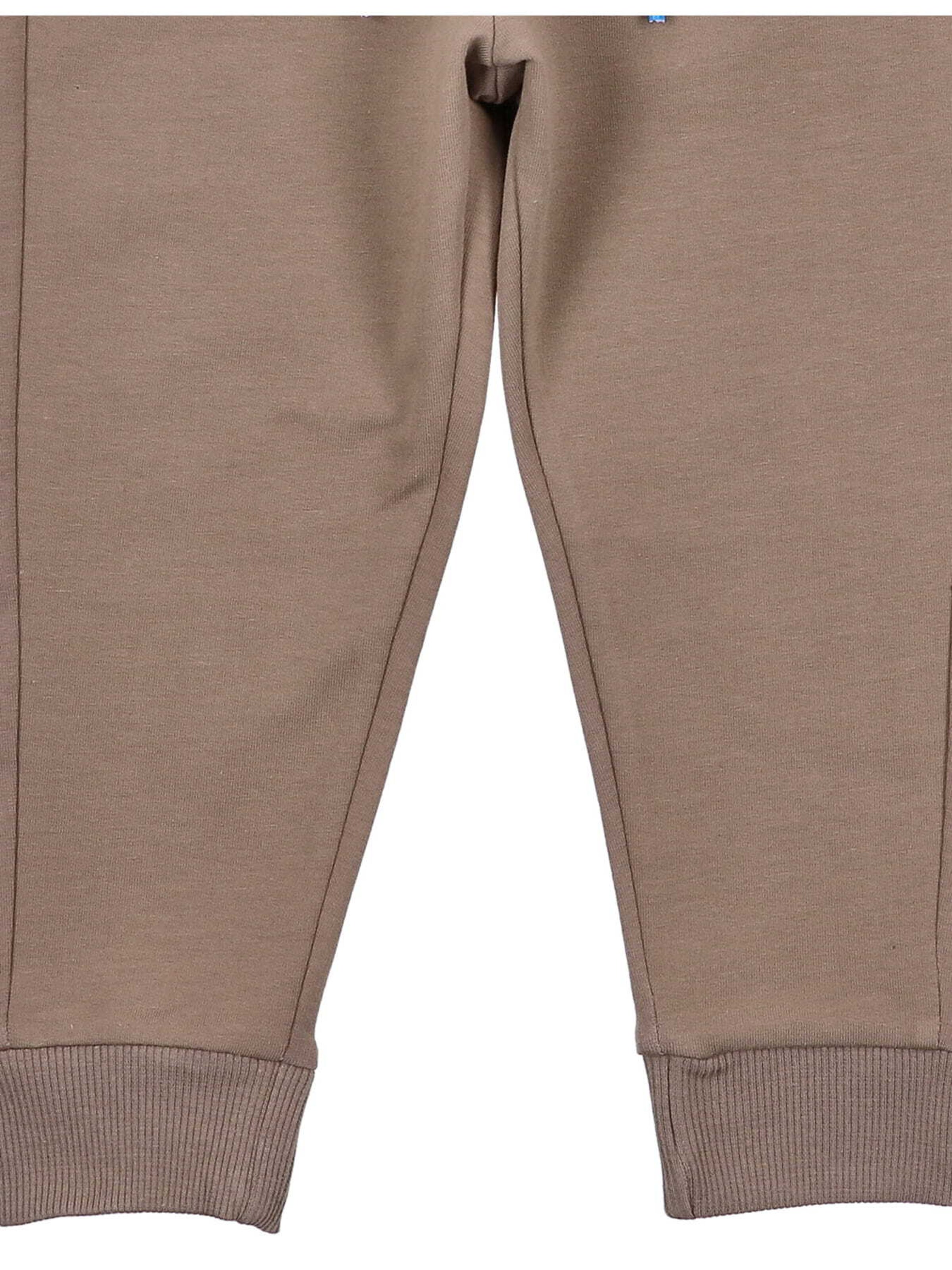 NINI Tapered Pants in Brown