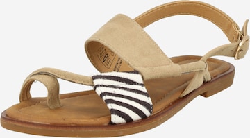 Refresh T-Bar Sandals 'KAKHI' in Beige: front