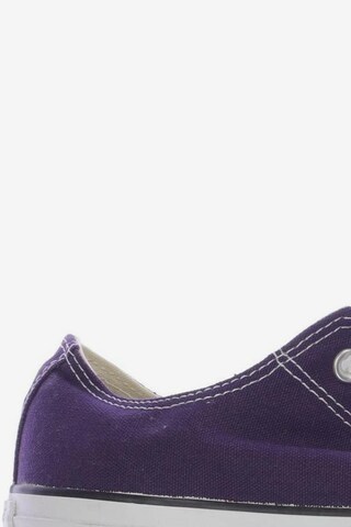CONVERSE Sneakers & Trainers in 42,5 in Purple