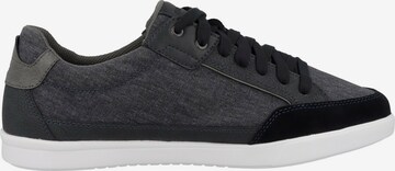 GEOX Sneakers 'Walee' in Grey