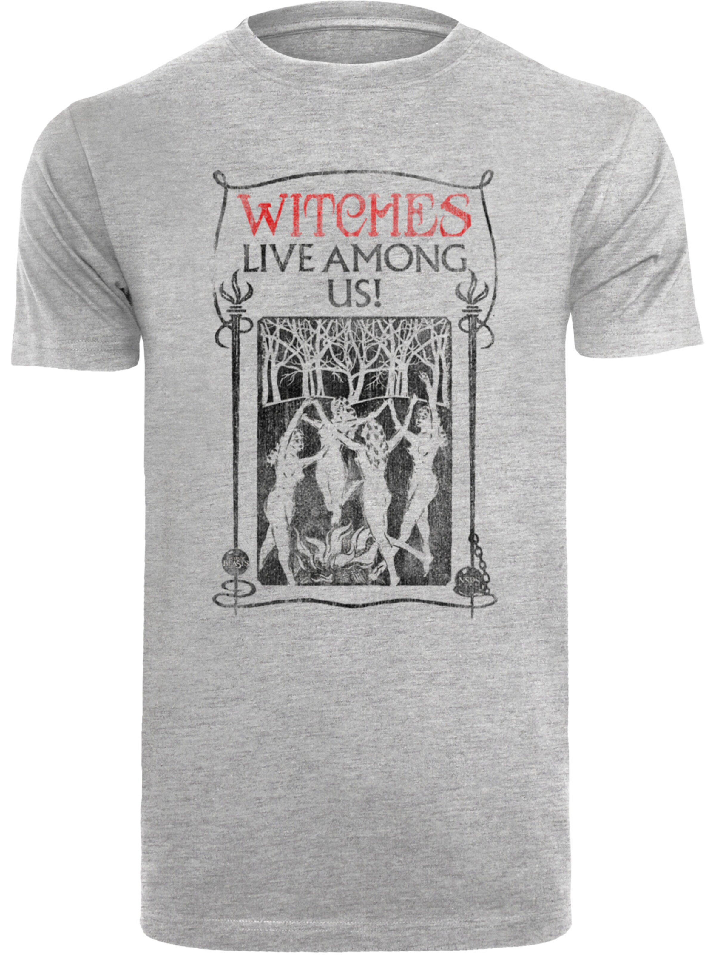 T-Shirt F4NT4STIC en gris : devant