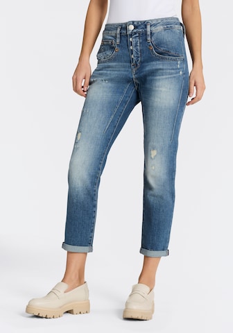 Herrlicher Regular Jeans in Blau: Vorderseite