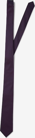 Andrew James Krawatte in Lila: Vorderseite