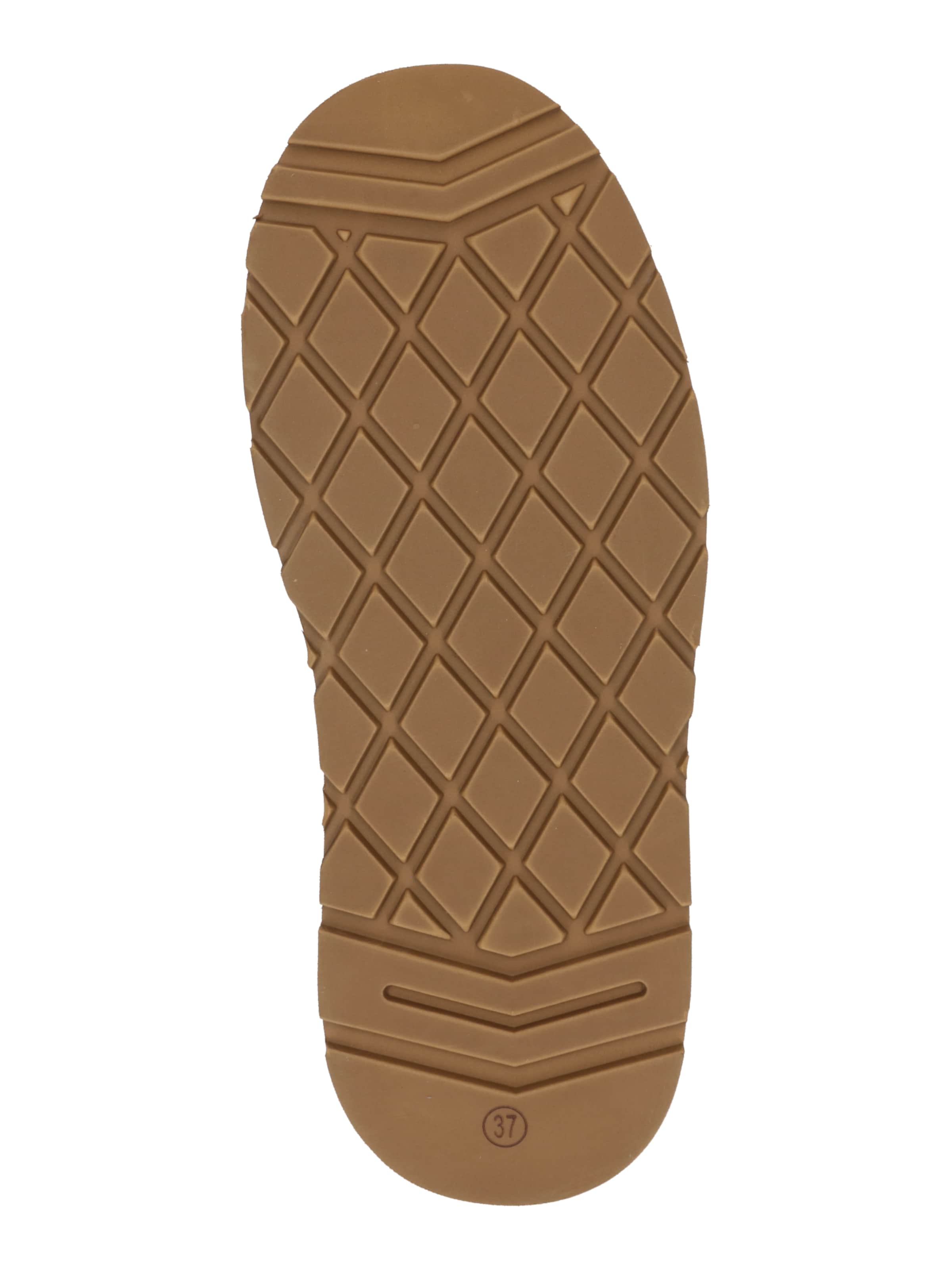 GUESS Ботинки 'DOLSAY2' в Коричневый